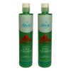 Shampoo De Chile Y Romero Shelo Nabel® 530ml. 2 Piezas