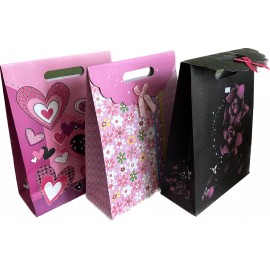Madhatter 3 Valentine Day Love Hearts Flower Gift Bags w Handle Medium Printed Pink Red