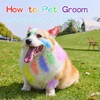 Pack of 6 Dog Hair Color Dye Temporary Non-Toxic Washable