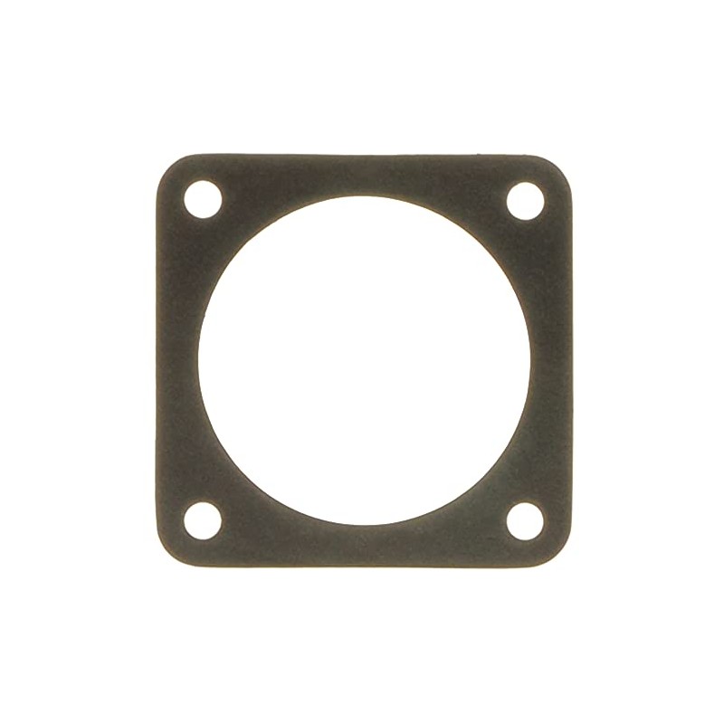 Throttle Body Gasket