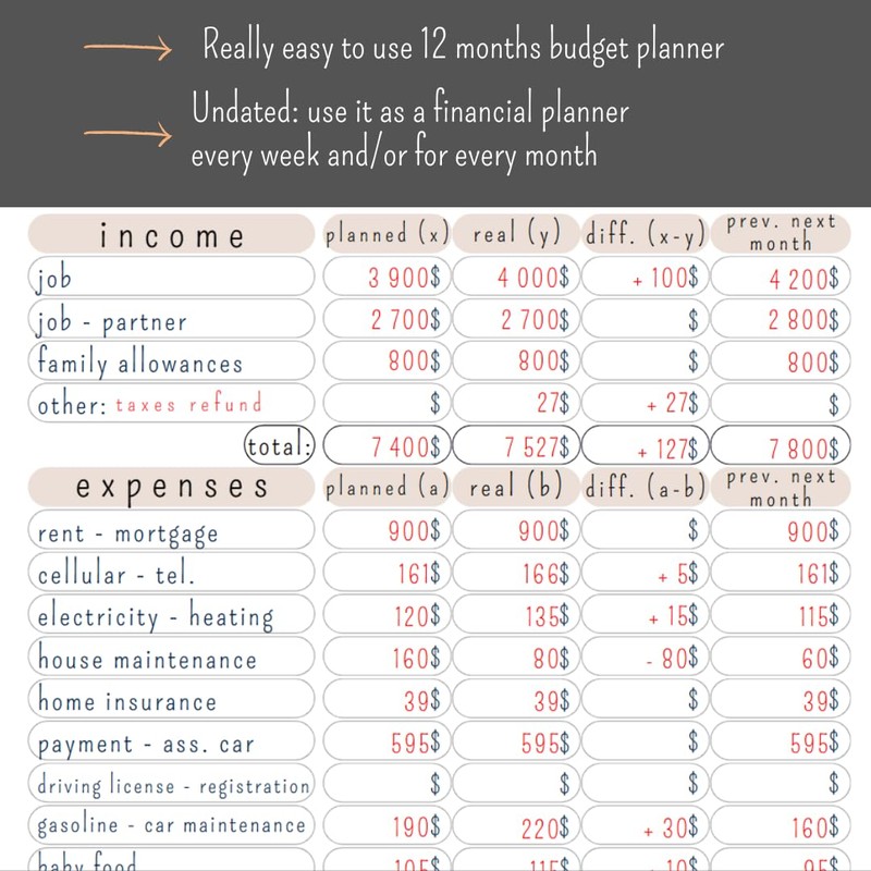 Perfect monthly financial planner, 12 months of budget | Undated