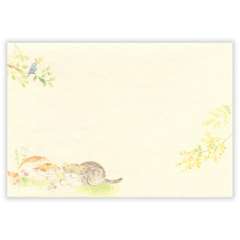 Nubby Envelopes Mimosa Scented | 2 Patterns Assorted, 4 Sheets,