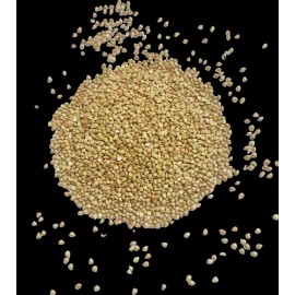BALTORO FOODS USA Grown Certified Organic Buckwheat Groats Non-GMO, Vegan, Bulk. Baltoro Foods - 5lb