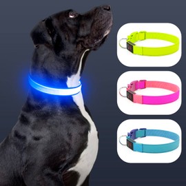 Only Half The Collar Lights LED Dog Collar Light Up Dog Collars USB Rechargeable, Adjustable Size Heavy Duty TPU Nylon Webbing Glow Safety Basic Dog Collars for Large Medium Dogs (M, Royal Blue)