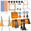 Dog Agility Training Equipment Set Outdoor Indoor Game, Tire Jump