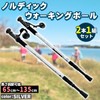 Nordic Walk Pole, Lightweight Telescopic 2 Poles, Silver