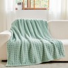 NEWCOSPLAY Super Soft Throw Blanket Green Premium Silky Flannel Fleece