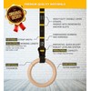 Double Circle Gymnastics Rings with Quick Adjust Numbered Straps and