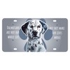 Dalmatian Watercolor Mini Metal License Plate 4.75 x 2.25 inch