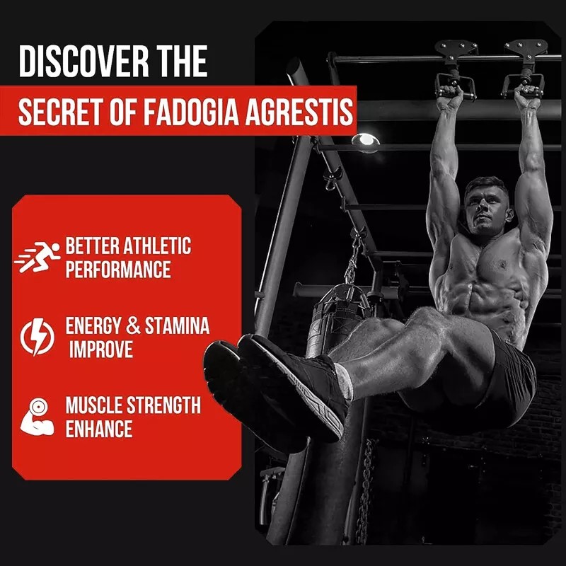 KENOFOR Fadogia Agrestis 120 Capsules - Promotes Physical Performance,St -