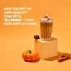 Tea Drops 30 Bulk Pack Organic Pumpkin Spice Bagless Tea