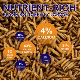 MEILLEURE 5lbs Dried Black Soldier Fly Larvae for Chickens - 100% Natural BSF Larvae More Calcium Than Dried Mealworms - High Protein BSFL Chicken Treats for Laying Hens Ducks Birds