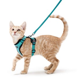 Rabbitgoo Cat Harness and Leash Set, Suitable for Both Cats and Dogs, for Extra Small and Small Dogs, Escape-Proof, Soft Chest Pad, Lightweight, Easy to Put On Without Lifting Legs, Adjustable Size,