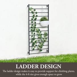MyGift 4 Ft Tall Trellis, Black Metal Wall Mounted Garden Trellis for Climbing Plants Outdoor/Indoor, Large Wall Support Frame for Hanging Planters (2, Black)