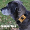 Dapper Dog Pet Tag Silencer and AirTag Holder - Ballistic