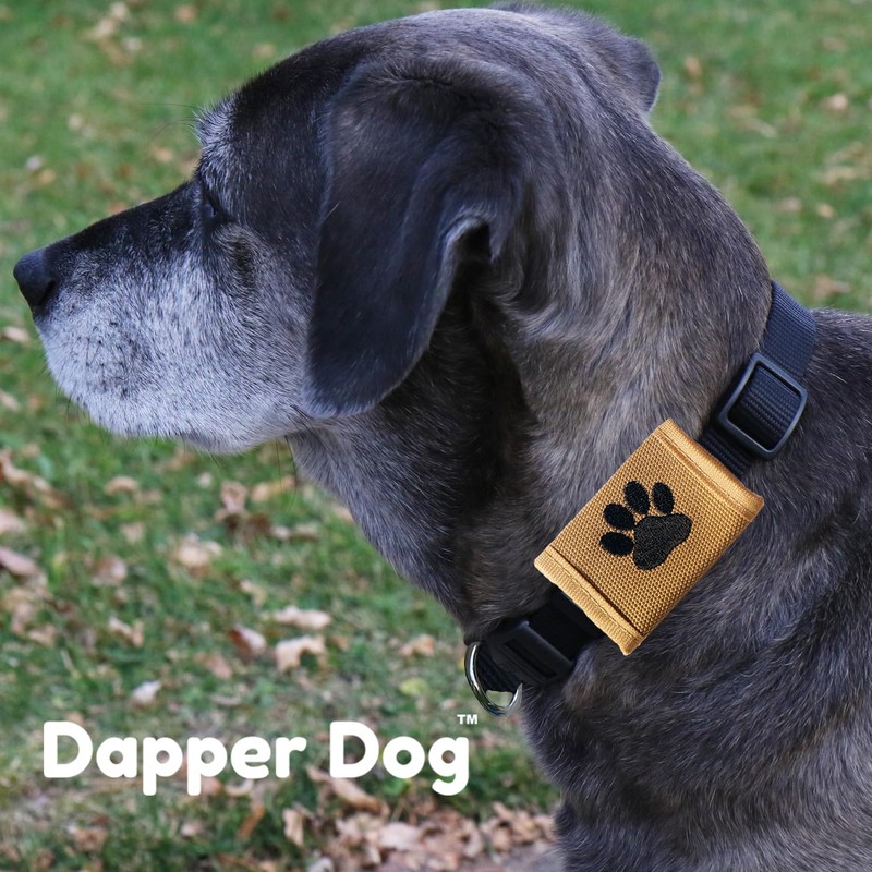 Dapper Dog Pet Tag Silencer and AirTag Holder - Ballistic