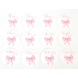 Bow Baby Monthly Milestone Markers - Baby Monthly Milestone Discs Photos,Coquette Bow Month Photo Signs,Baby’S First Year Newborn Signs for Girl (Pink)