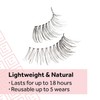 Eylure Naturals Accent No. 003 Reusable Eyelashes, Adhesive Included, 1