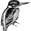 'Kingfisher' Rubber Stamp - Unmounted Design for Crafting & Scrapbooking,