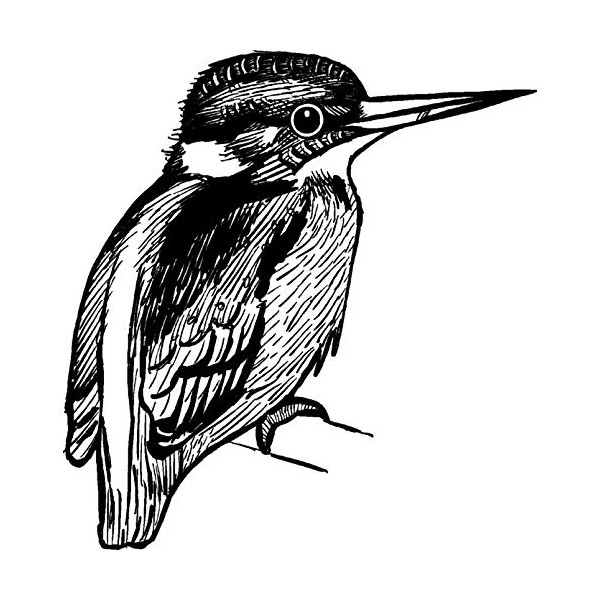 'Kingfisher' Rubber Stamp - Unmounted Design for Crafting & Scrapbooking,