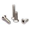 PENGLIN 340 Pcs Cross Hole Countersunk Machine Screws M3 Nuts