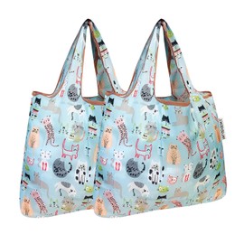 allydrew Foldable Tote Nylon Reusable Grocery Bag (Set of 2), Cool Cats