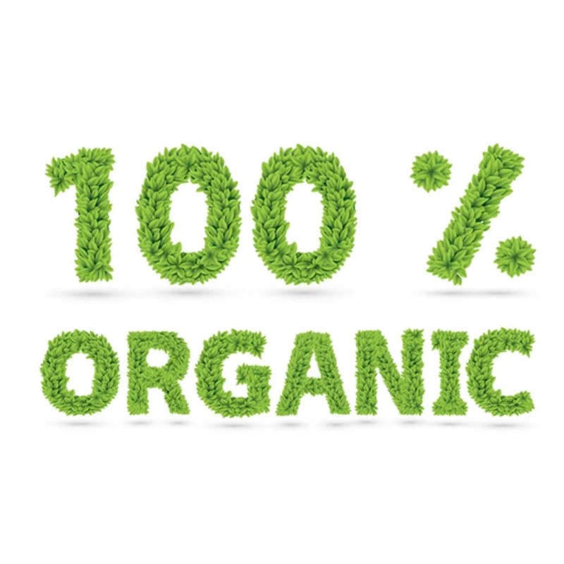 Amphora International Organic Soft Dried Deglet Noor Dates, 6 Oz