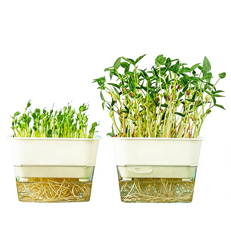 QISHENG - 4 Pack Microgreens Grow Kit,Soil-Free Cultivation Germination Tray,BPA-Free