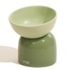 MS!MAKE SURE Elevated Cat Bowl, Ceramic Tilted Cat Food Bowl,