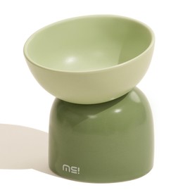 MS!MAKE SURE Elevated Cat Bowl, Ceramic Tilted Cat Food Bowl, Anti Vomit & Whisker Fatigue Cat Bowls for Food and Water - Green