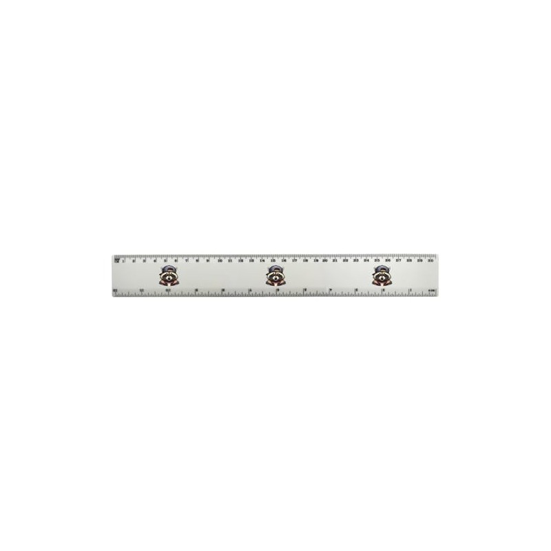 'Cool Raccoon' 30cm (12 Inch) White Plastic Ruler (RL00087324)