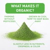 Aiya Certified USDA Organic Culinary Grade Matcha Green Tea Powder