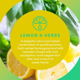 Clean Revolution SuperCharged Multi Surface Cleaner Refill Supply, Non-Toxic, Eco-Friendly & Plant-Based, Ready to Use, Lemon & Herbs, 18 oz (Pack of 1)