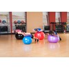 Black Mountain Products Static Strength Exercise Stability Ball with Pump,
