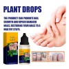 Gotas De Plantas Para El Cuidado De Las Uñas, Aceite