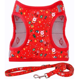 Juego de correa de arnés para perro, reflectante, sin tirones, acolchado, chaleco para gatos, cachorros, perros extra pequeños, medianos y grandes,