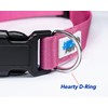 High Tech Pet MS-5 with Deluxe Collar (Pink, Medium)