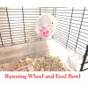 Mcage Large 3-Level Mouse Mansion Acrylic Base Gerbil Habitat Guinea