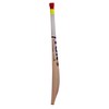 SS Ton Kashmir Willow Cricket Bat- Ton Maximus (Cover Included)