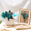 WGXX 12 Kinds DIY Natural Dried Flower Set Bulk Dried