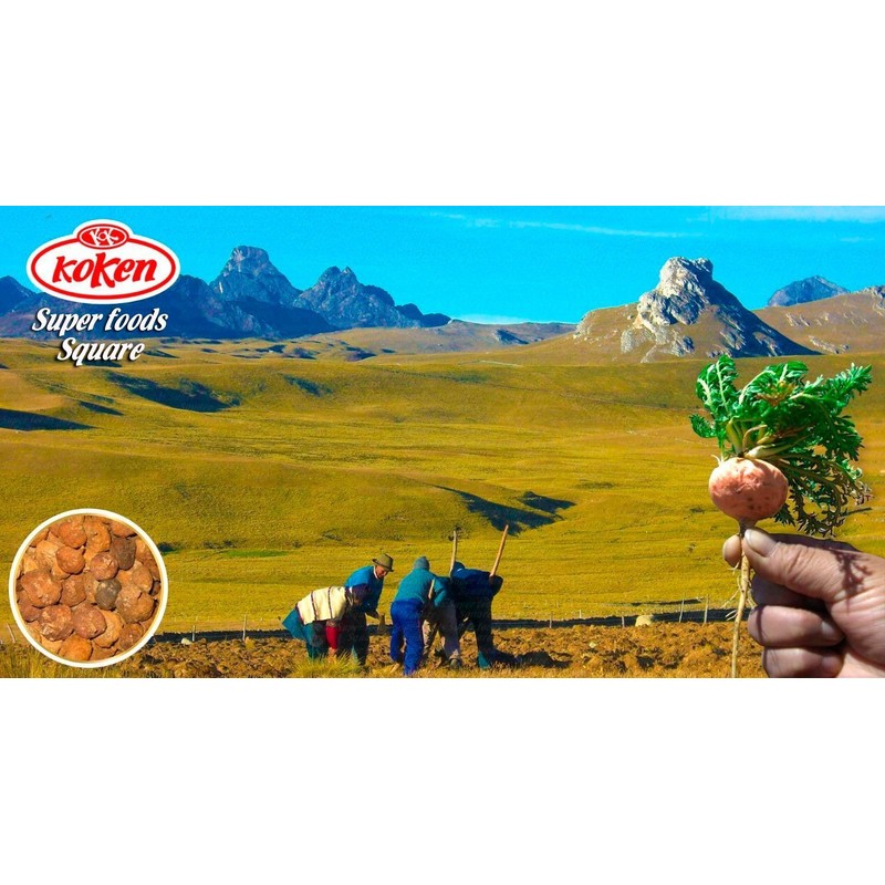 光健 元気の素 マカ 粉末 200g 有機JAS認証 100% マカパウダー