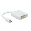 Roline DisplayPort-DVI Mini Adapter, MINI DP ST - DVI BU