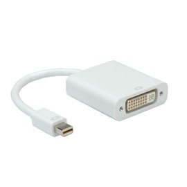 Roline DisplayPort-DVI Mini Adapter, MINI DP ST - DVI BU