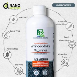 Aminoácidos Y Vitaminas Nano Nutrition Liposomal 480 Ml                                                                                               