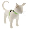 Lupine Reflective Cat and Small Pet H-Style Harness in 1/2"