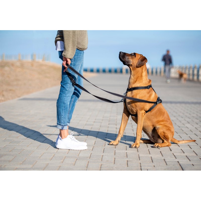 Control Multi-Leash X-Large - Dayglo Yellow