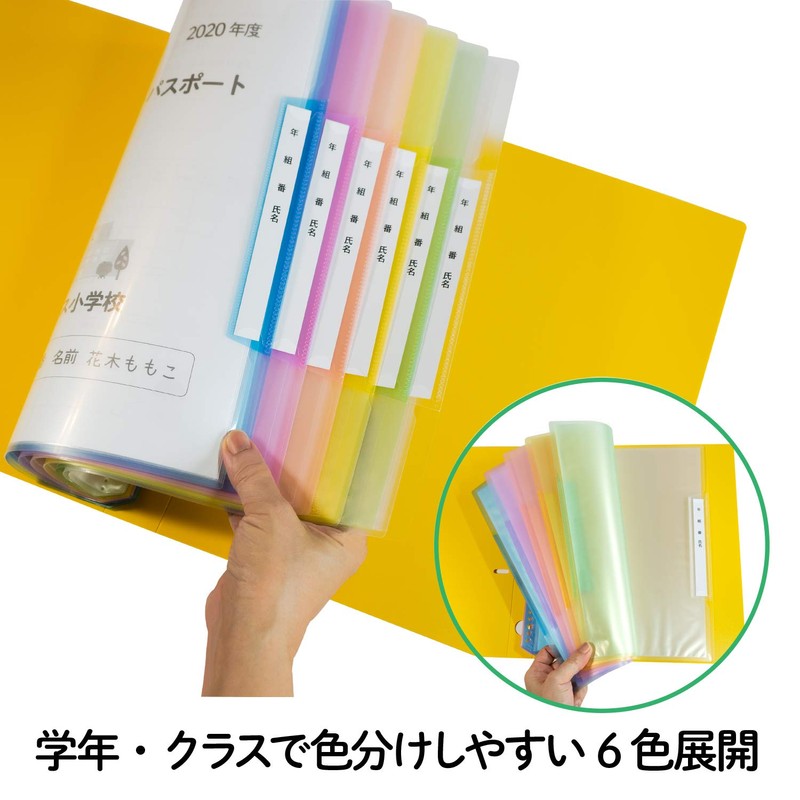 Plus RE-201CF Name Refill-Type Clear File, Vertical Input, 6 Pockets,