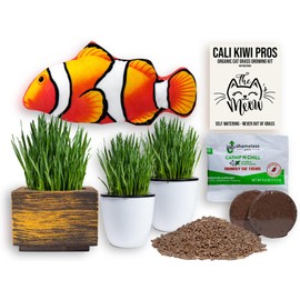 Cali Kiwi Organic Self-Watering Cat Grass Kit-Indoor Grass for Cats with Interactive Flippy Fish Cat Toy (Black Gold)