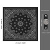 Hymeiluely Western Bandana Scarf With Vintage Eagle Coin Buckle, Paisley