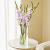 Acrylic Cylinder Plastic Vase for Centerpiece, Unbreakable Hurricane Tall Large